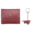 Braun Buffel,  , 18144-707-081